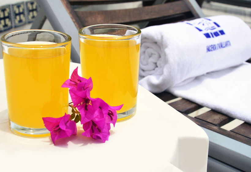 Hotel Hacienda de Vallarta Centro  | Puerto Vallarta | Jalisco | México 3