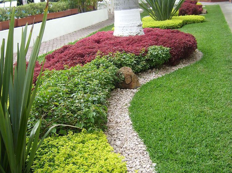 Hotel Puerta Paraiso  | Cuernavaca | Morelos | México 20