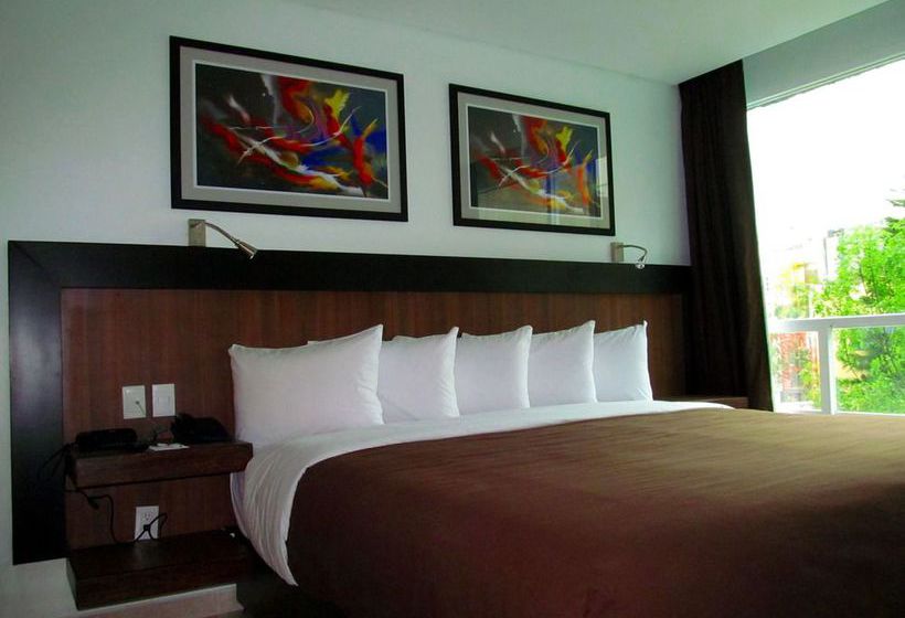 Hotel Suites Plaza Florencia  | Ciudad de México | Ciudad de México | México 20