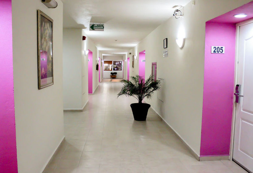 Hotel Comfort Inn Monterrey Valle   | Monterrey | Nuevo Leon | México 10