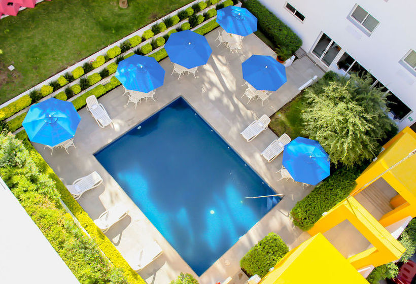 Hotel Comfort Inn Monterrey Valle   | Monterrey | Nuevo Leon | México 17