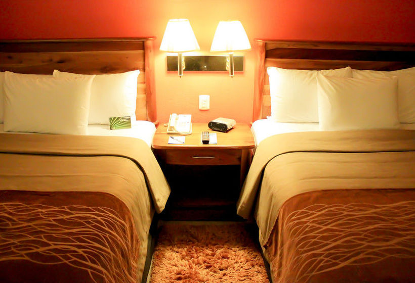 Hotel Comfort Inn Monterrey Valle   | Monterrey | Nuevo Leon | México 9