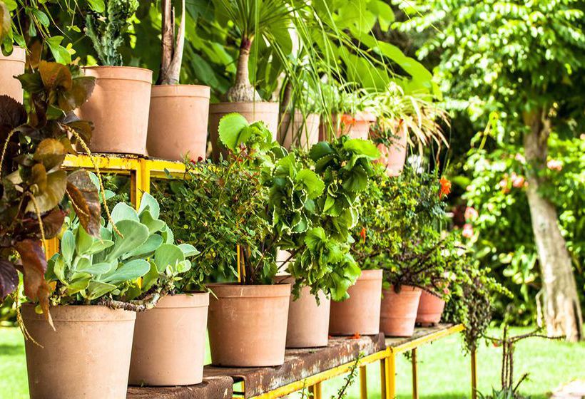 Hotel Los Arroyos Verdes  | Bucerias | Nayarit | México 11