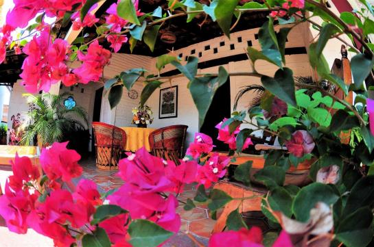 Hotel Tradicional Villa del Mar  | Puerto Vallarta | Jalisco | México 11