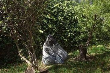 Hotel Casa Roa  | Naucalpan | Mexico State | México 6