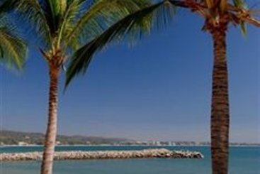 Vallarta Gardens Resort & Spa - Luxury Villas  | Bucerias | Nayarit | México 5