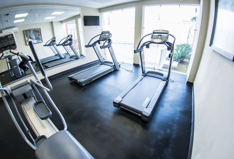 Hotel Holiday Inn Express Guadalajara Aeropuerto  | Guadalajara | Jalisco | México 11