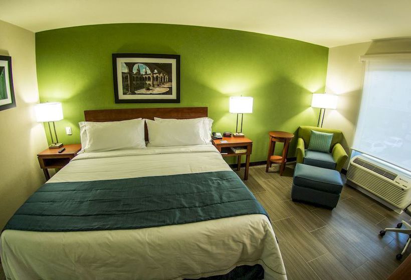 Hotel Holiday Inn Express Guadalajara Aeropuerto  | Guadalajara | Jalisco | México 12