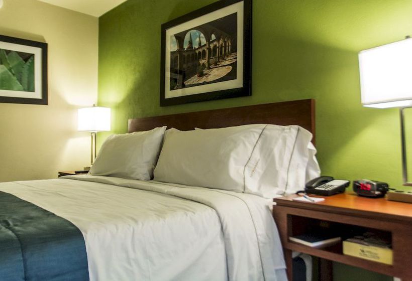 Hotel Holiday Inn Express Guadalajara Aeropuerto  | Guadalajara | Jalisco | México 13