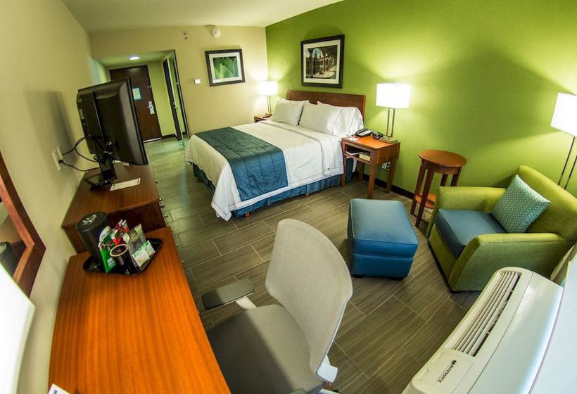 Hotel Holiday Inn Express Guadalajara Aeropuerto  | Guadalajara | Jalisco | México 6