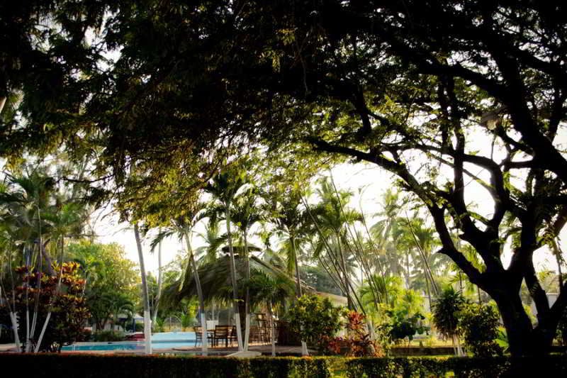 Hotel Piedras de Sol Acapulco Diamante  | Acapulco | Guerrero | México 12