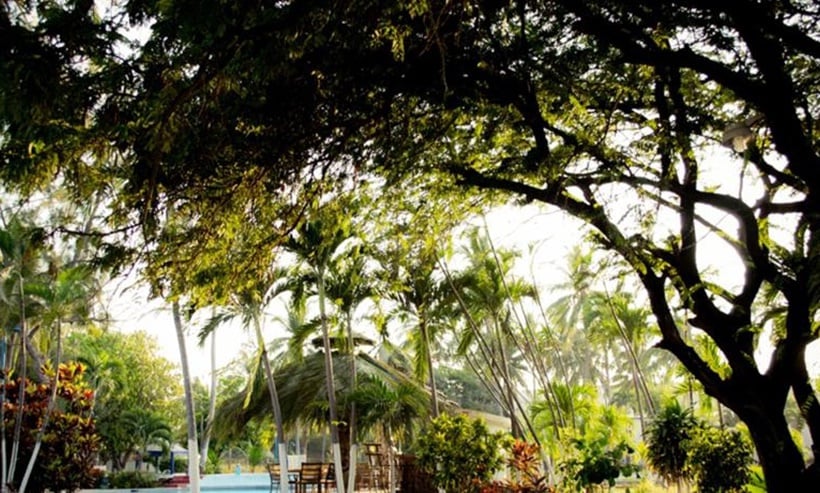 Hotel Piedras de Sol Acapulco Diamante  | Acapulco | Guerrero | México 9