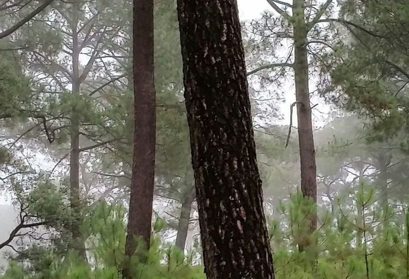 Cabanas Los Abuelos  | Mazamitla | Jalisco | Mexico 2