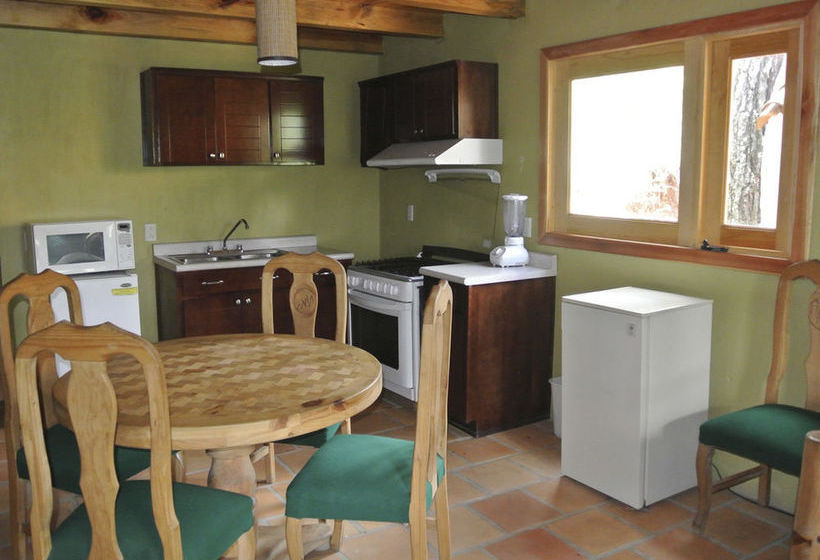 Hotel Bosque La Luna  | Mazamitla | Jalisco | México 14