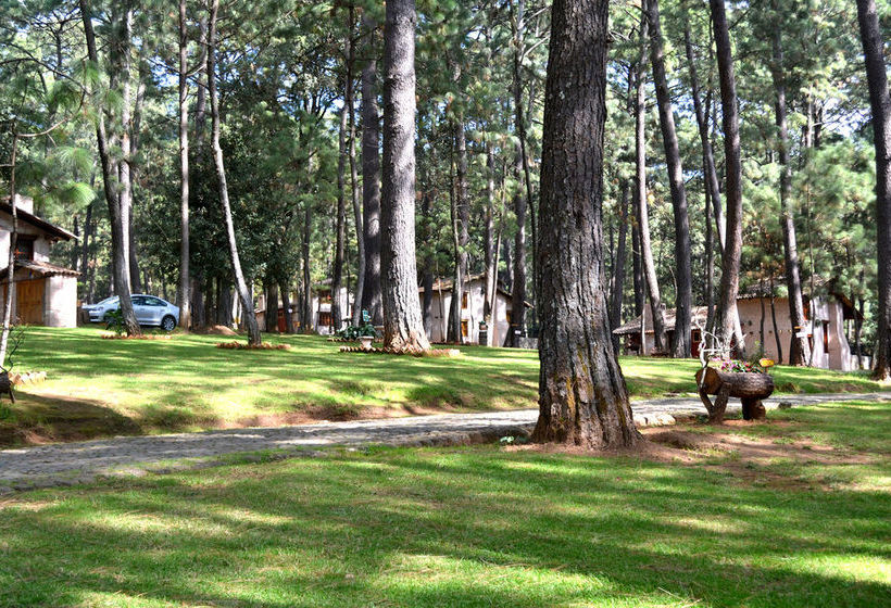 Sierra Vista  | Mazamitla | Jalisco | Mexico 6