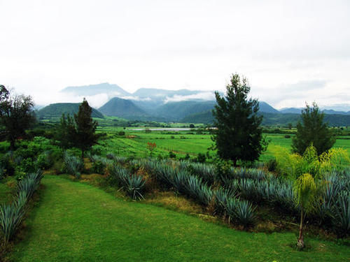 Hotel Villa Cantabria  | Mascota | Jalisco | México 17
