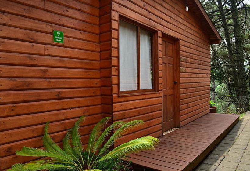 Cabañas Monte Alto  Boutique  | Valle de Bravo | Mexico State | México 9