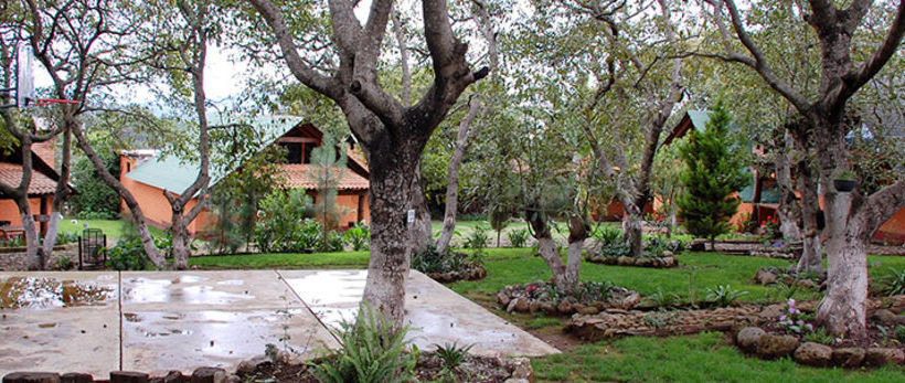 Cabañas La Huerta  | Mazamitla | Jalisco | México 5