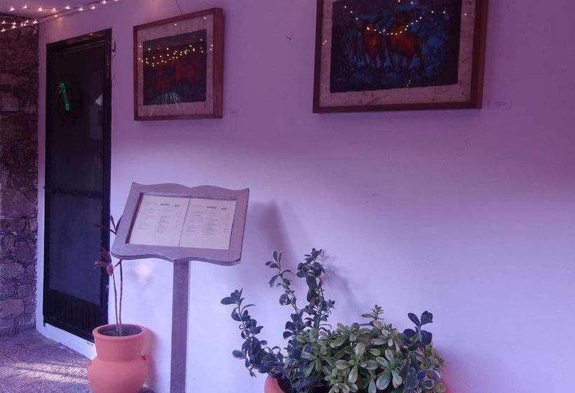 Hotel Casa De Las Conservas Bed & Breakfast  | San Miguel de Allende | Guanajuato | México 2