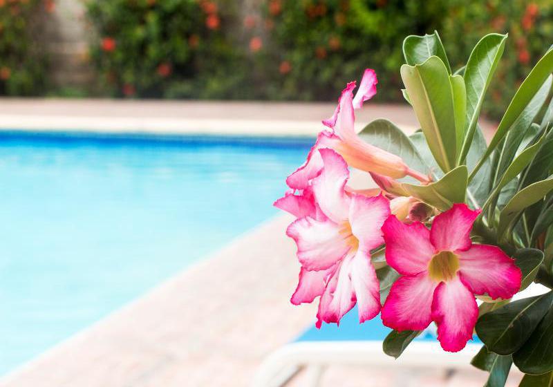 Hotel Vallarta Sol  | Puerto Vallarta | Jalisco | México 19