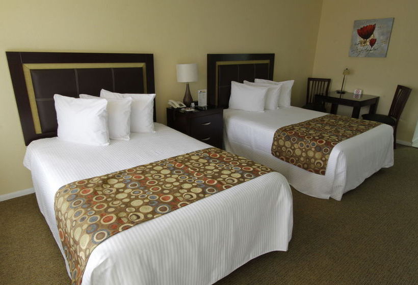 Quinta Dorada Hotel & Suites  | Saltillo | Coahuila | México 5