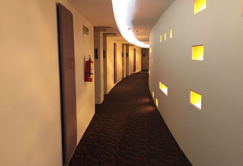 Hotel Domun  | Santiago de Querétaro | Queretaro | México 2