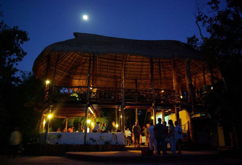 Hotel Jolie Jungle  | Benito Juárez | Quintana Roo | México 10