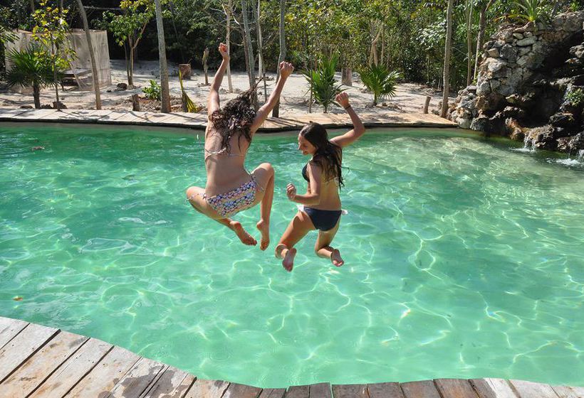 Hotel Jolie Jungle  | Benito Juárez | Quintana Roo | México 11