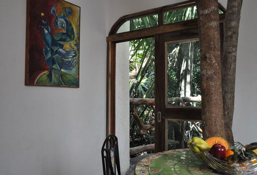 Hotel Jolie Jungle  | Benito Juárez | Quintana Roo | México 13