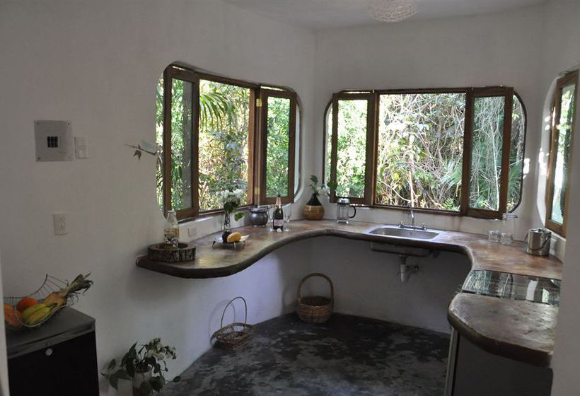 Hotel Jolie Jungle  | Benito Juárez | Quintana Roo | México 14