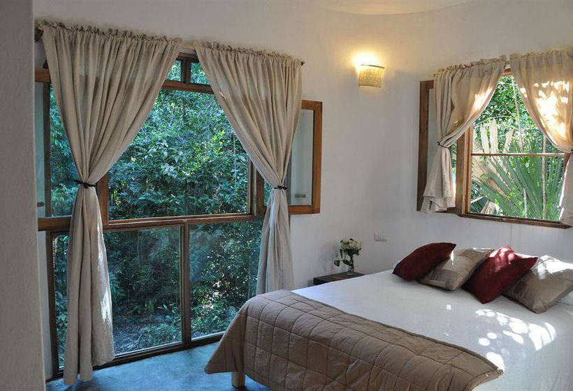 Hotel Jolie Jungle  | Benito Juárez | Quintana Roo | México 15