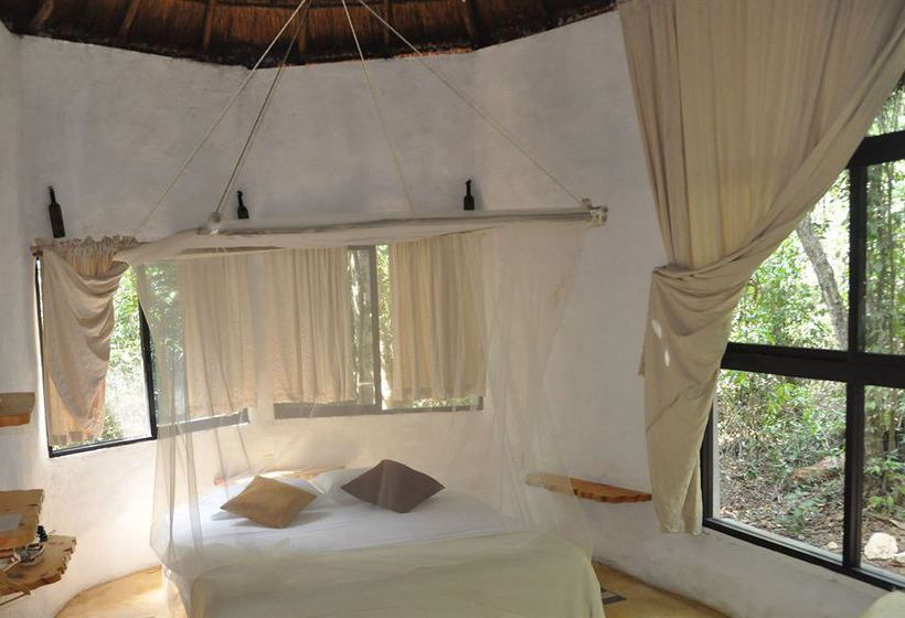 Hotel Jolie Jungle  | Benito Juárez | Quintana Roo | México 17