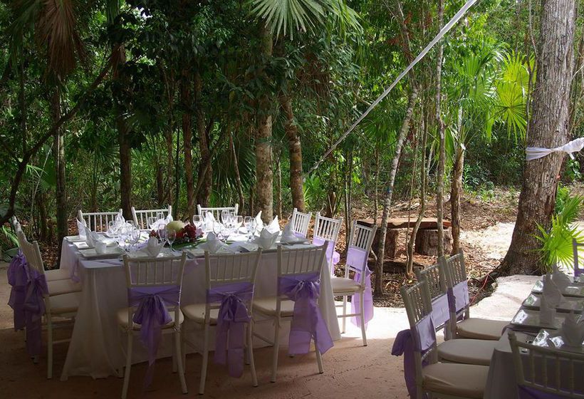 Hotel Jolie Jungle  | Benito Juárez | Quintana Roo | México 18