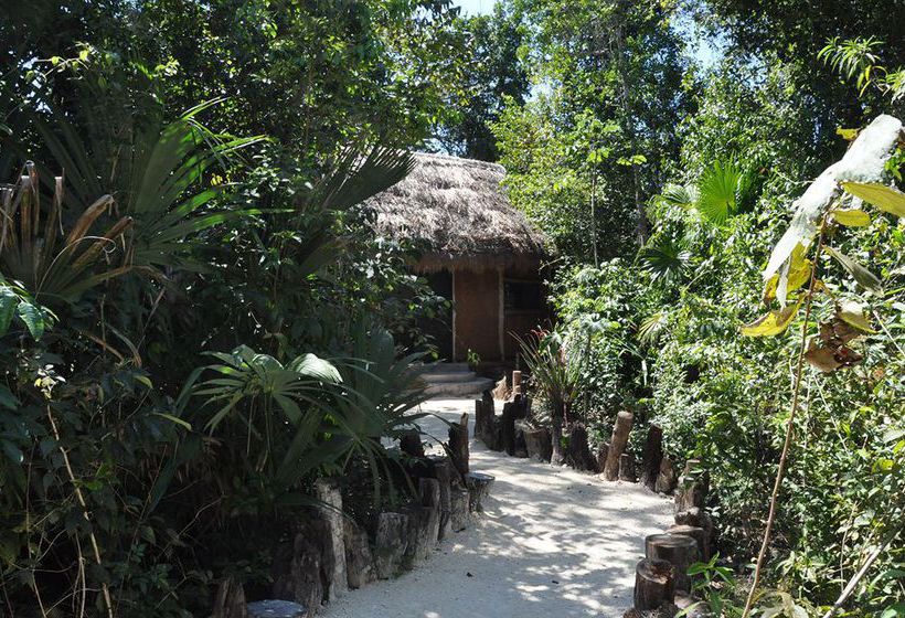 Hotel Jolie Jungle  | Benito Juárez | Quintana Roo | México 19