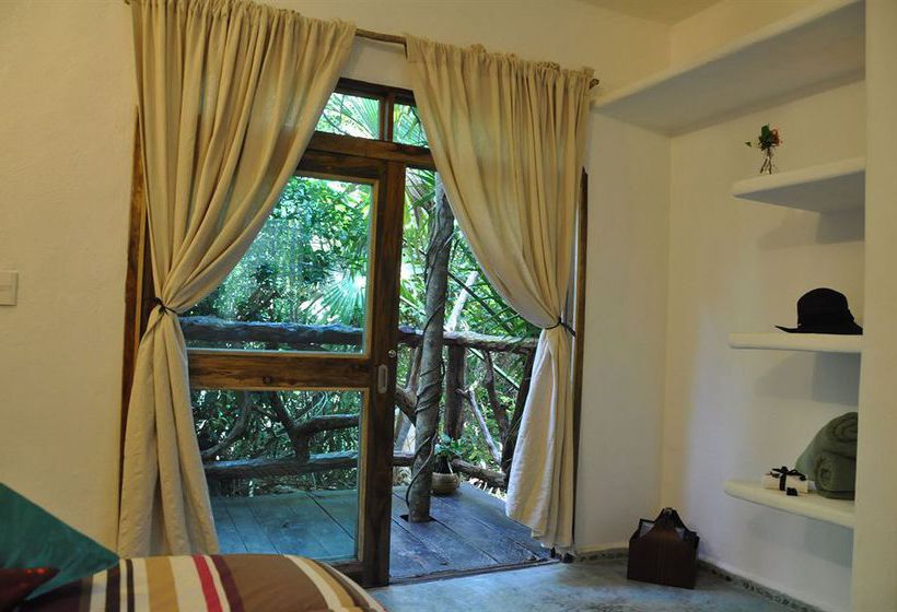 Hotel Jolie Jungle  | Benito Juárez | Quintana Roo | México 20