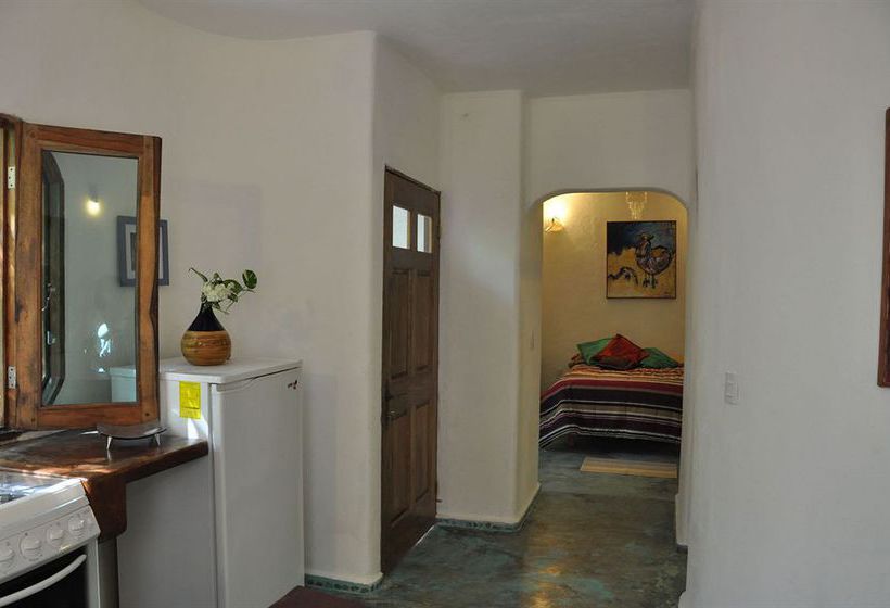 Hotel Jolie Jungle  | Benito Juárez | Quintana Roo | México 3