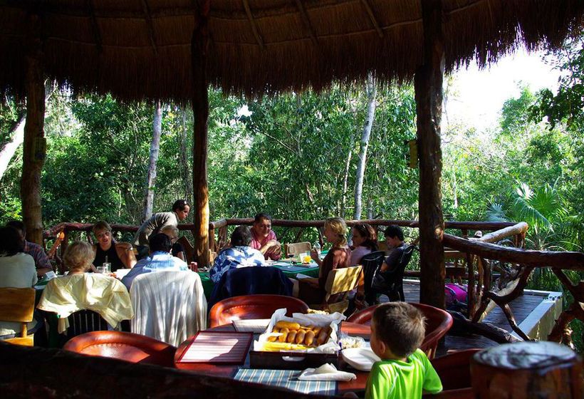 Hotel Jolie Jungle  | Benito Juárez | Quintana Roo | México 5