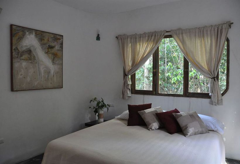 Hotel Jolie Jungle  | Benito Juárez | Quintana Roo | México 7