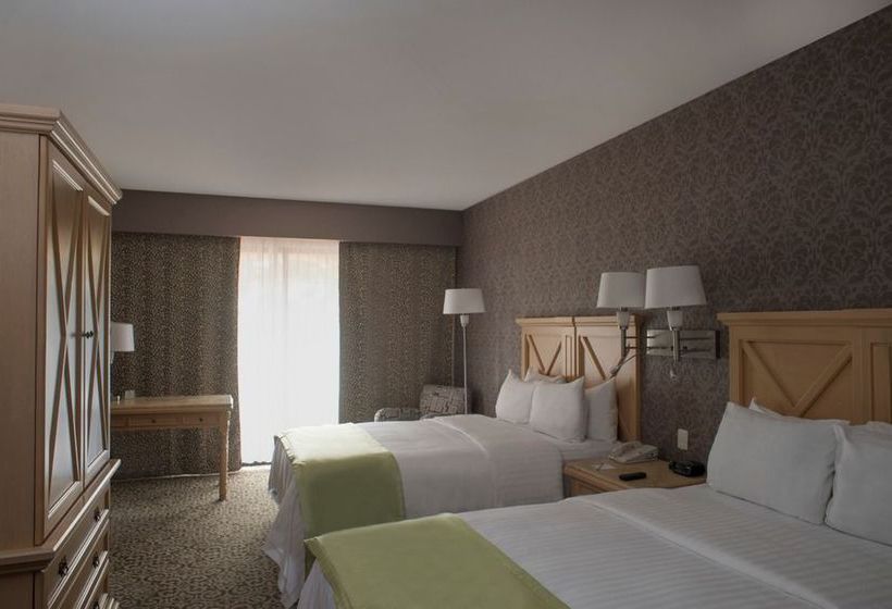 Hotel Holiday Inn Express & Suites Queretaro  | Santiago de Querétaro | Queretaro | México 19