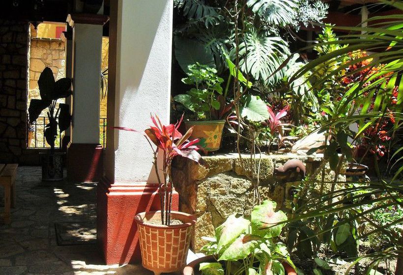 Hotel Casa del Sótano  | Oaxaca de Juaréz | Oaxaca | México 3