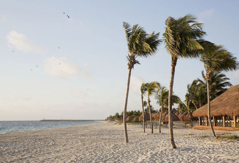 Hotel Finest Playa Mujeres  | Playa Mujeres | Quintana Roo | México 9