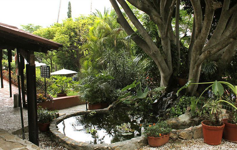 Hotel Victoria Oaxaca  | Oaxaca de Juaréz | Oaxaca | México 5