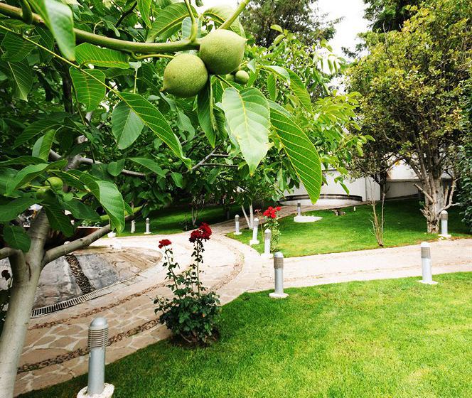 Hotel Baruk Teleférico Y Mina  | Zacatecas | Zacatecas | México 15