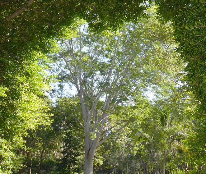 Hotel The Lodge At Chichen Itza  | Chichen Itza | Yucatan | México 4