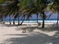 Hotel Pocna Hostel  | Isla Mujeres | Quintana Roo | México 2