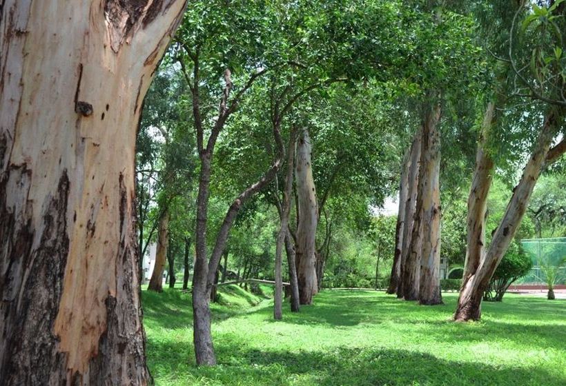 Hotel Las Fuentes Mision Ciudad Victoria  | Ciudad Victoria | Tamaulipas | México 10
