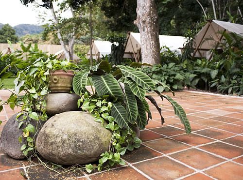 Hotel Okavango Aldeas Rio Y Montaña  | Xalapa-Enríquez | Veracruz | México 5