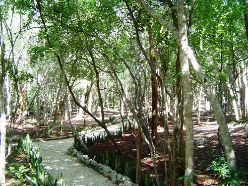 Hotel Okaan  | Chichen Itza | Yucatan | México 16