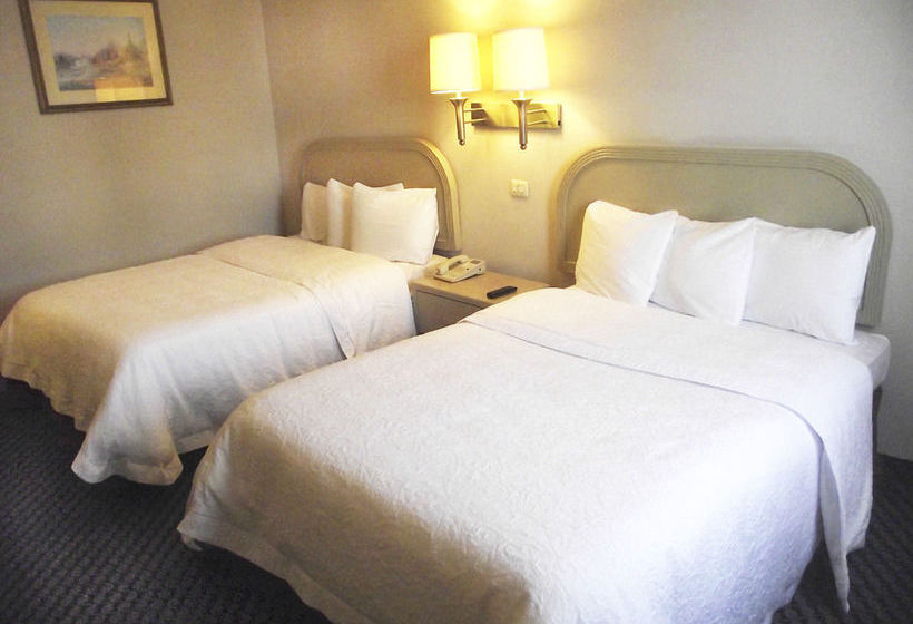 Hotel Victoria Inn  | Ciudad Victoria | Tamaulipas | México 2