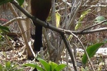 Cabanas Ek Balam  | Temozón | Yucatan | México 18